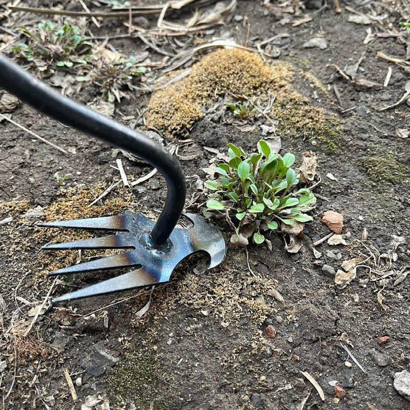 WeedSnatch™ - ogräsrensningsverktyg i rostfritt stål för trädgården | 1+1 gratis