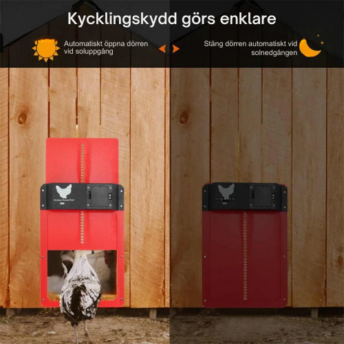 PoultryPal™ - Automatisk dörr för kyckling | 45% Rabatt