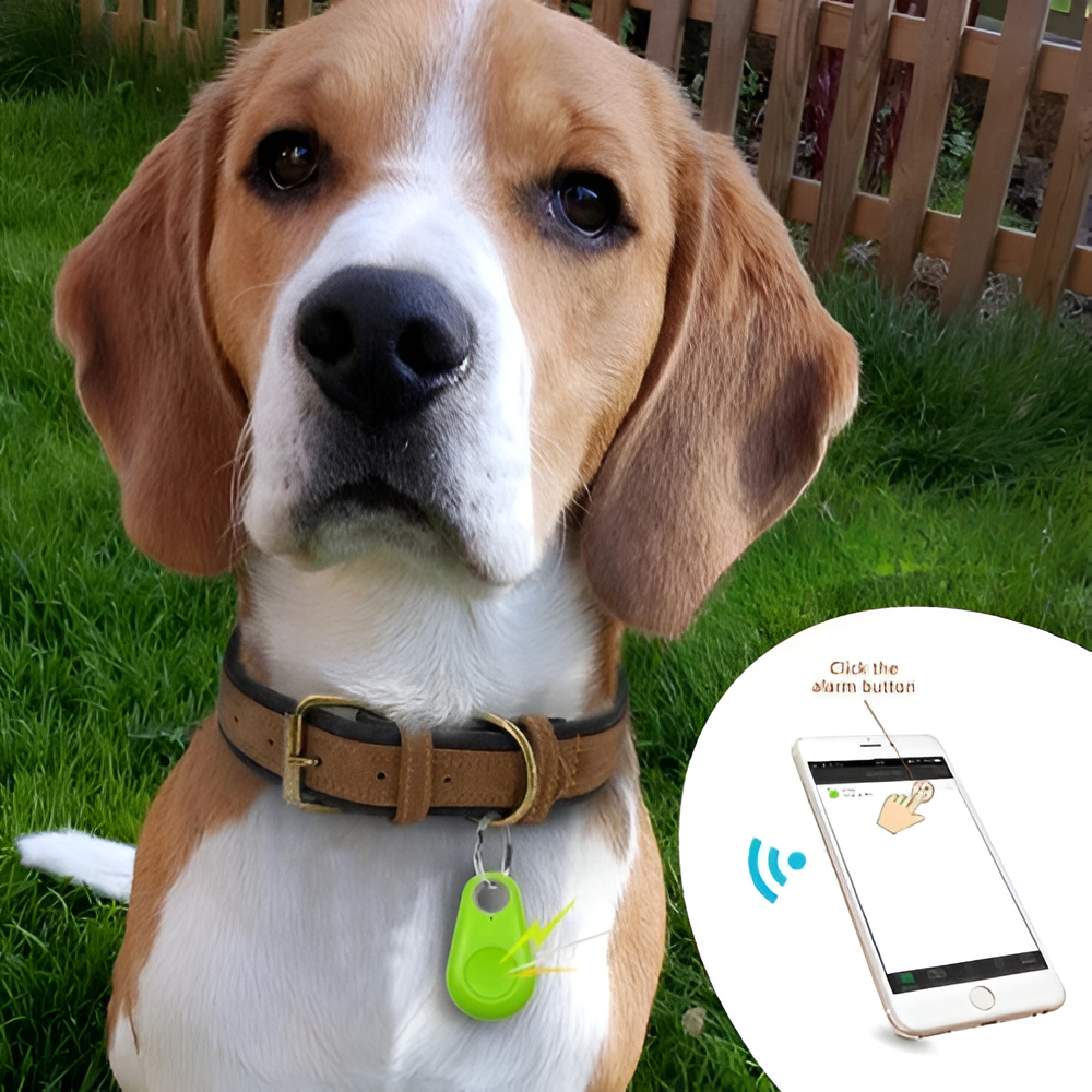 PawPath™ - Mini Bluetooth spårare för husdjur | 1+1 GRATIS